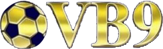 vnvb9 Logo